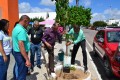 CMPA e IFBA plantam árvore em homenagem ao Dia da Árvore